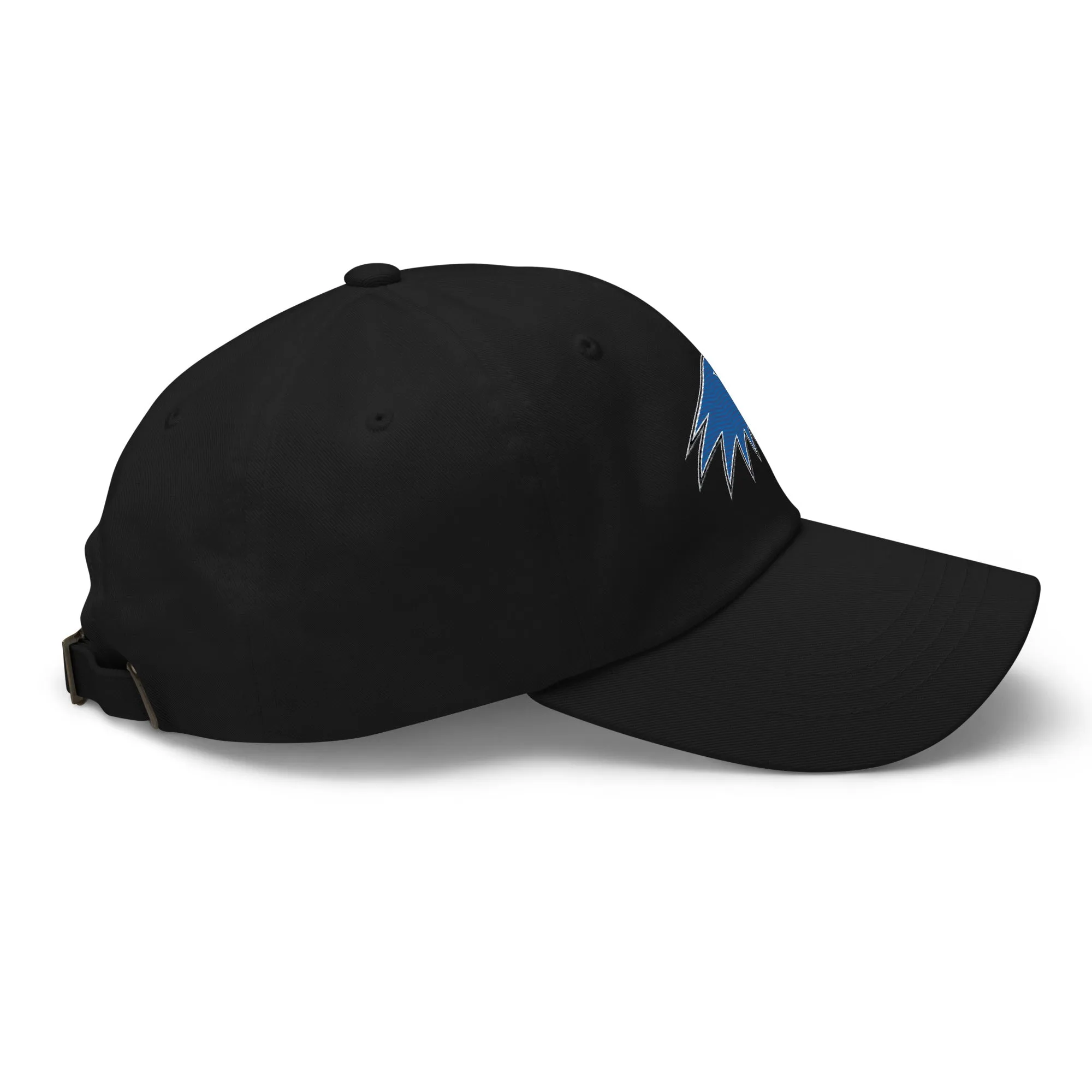 Hartwick Dad hat