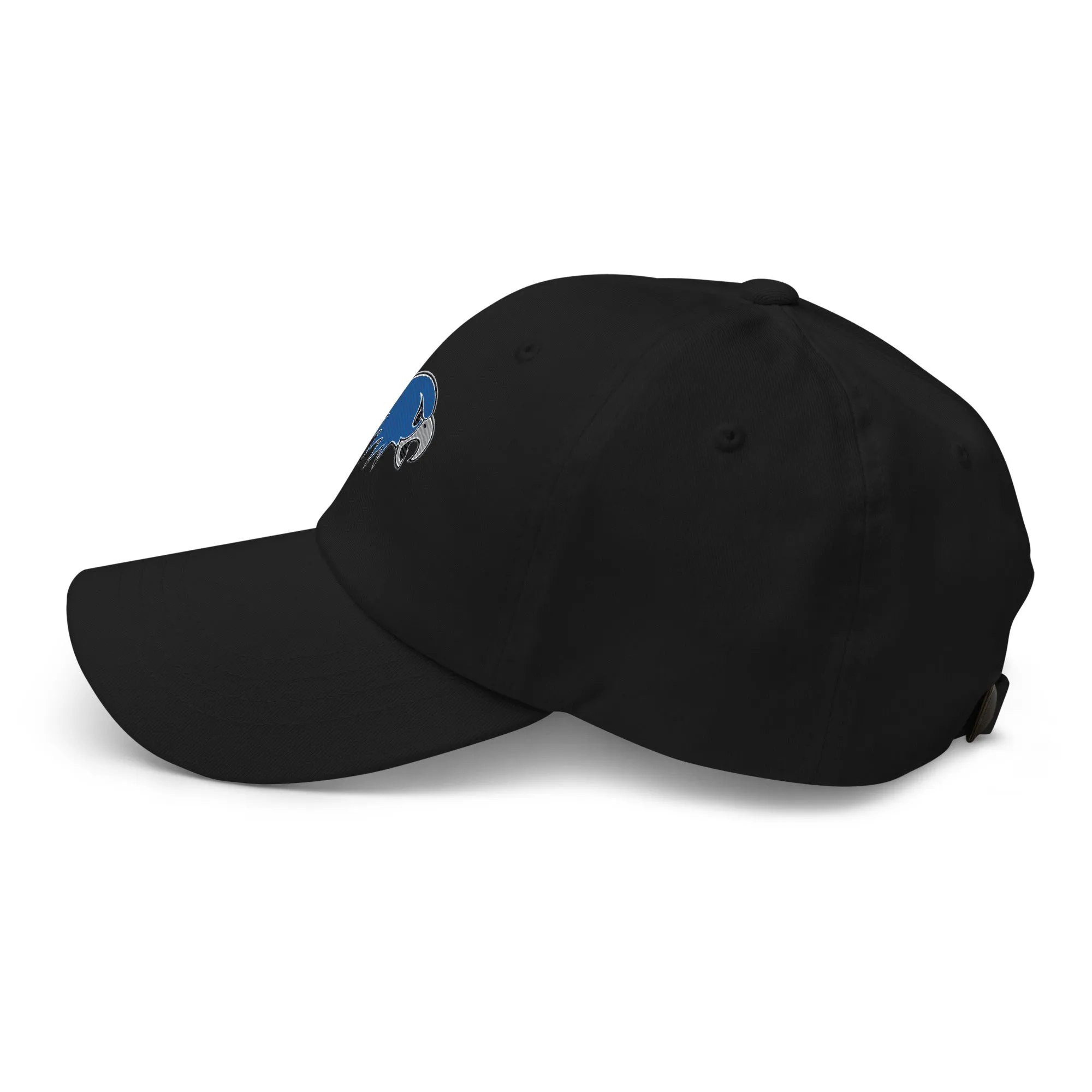 Hartwick Dad hat