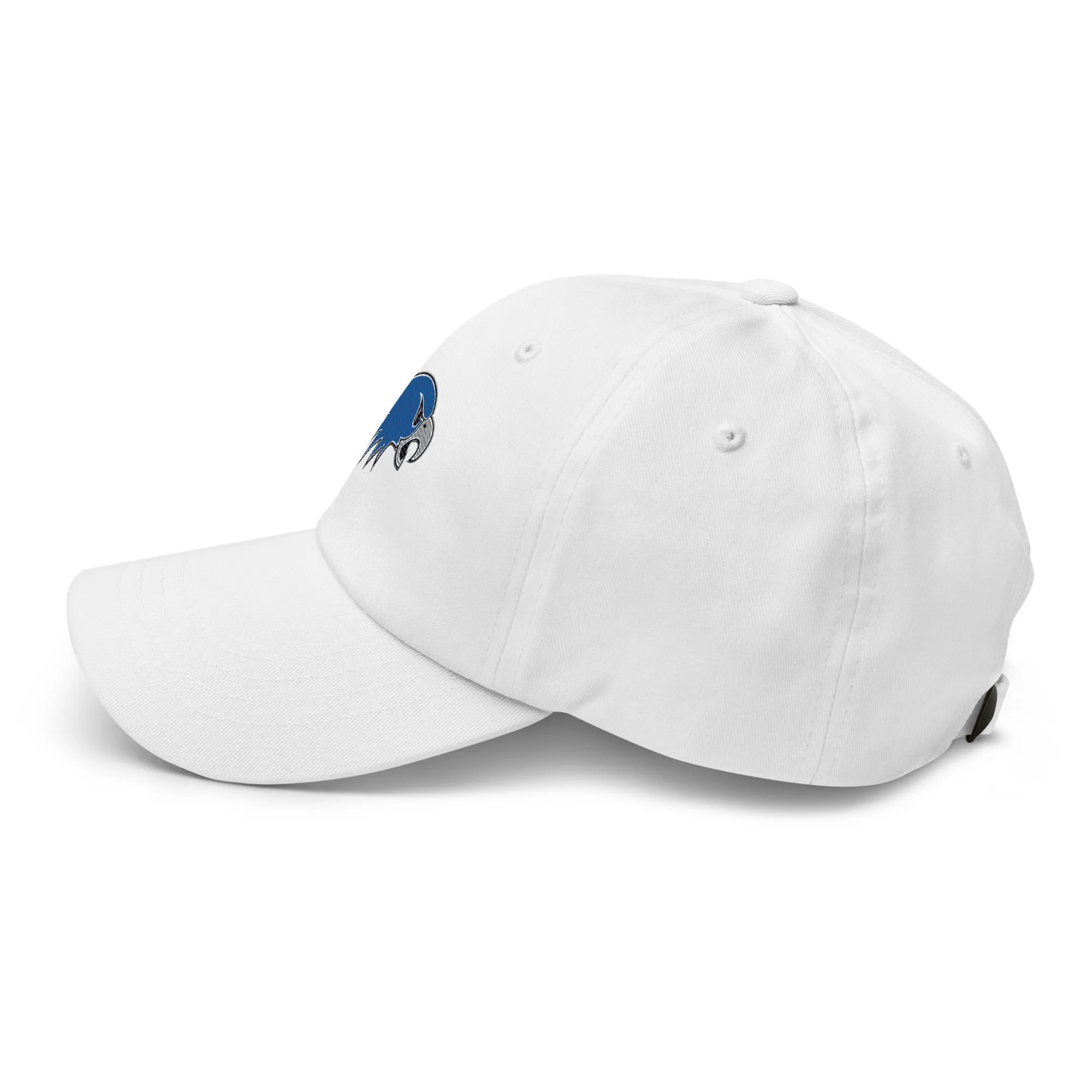 Hartwick Dad hat