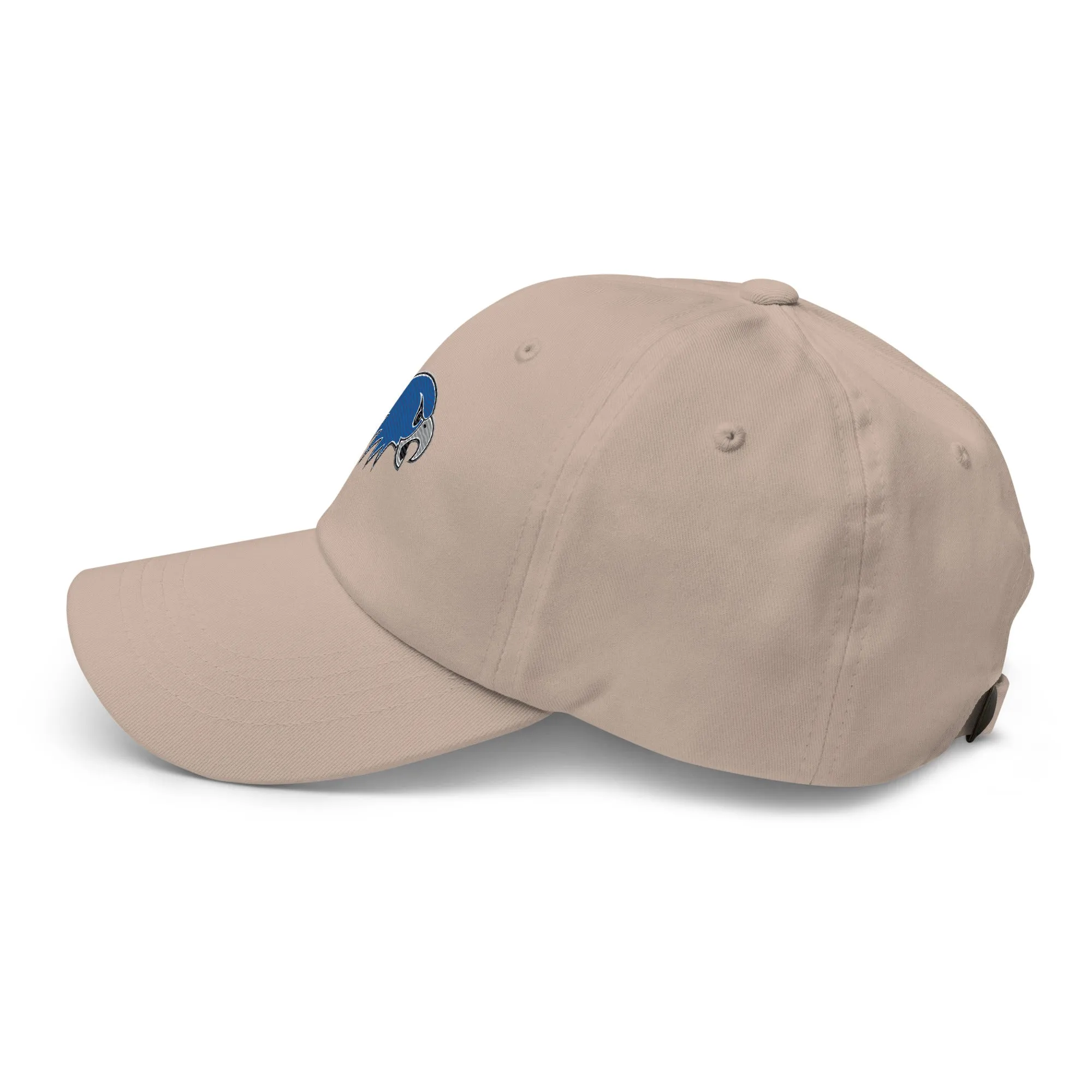 Hartwick Dad hat