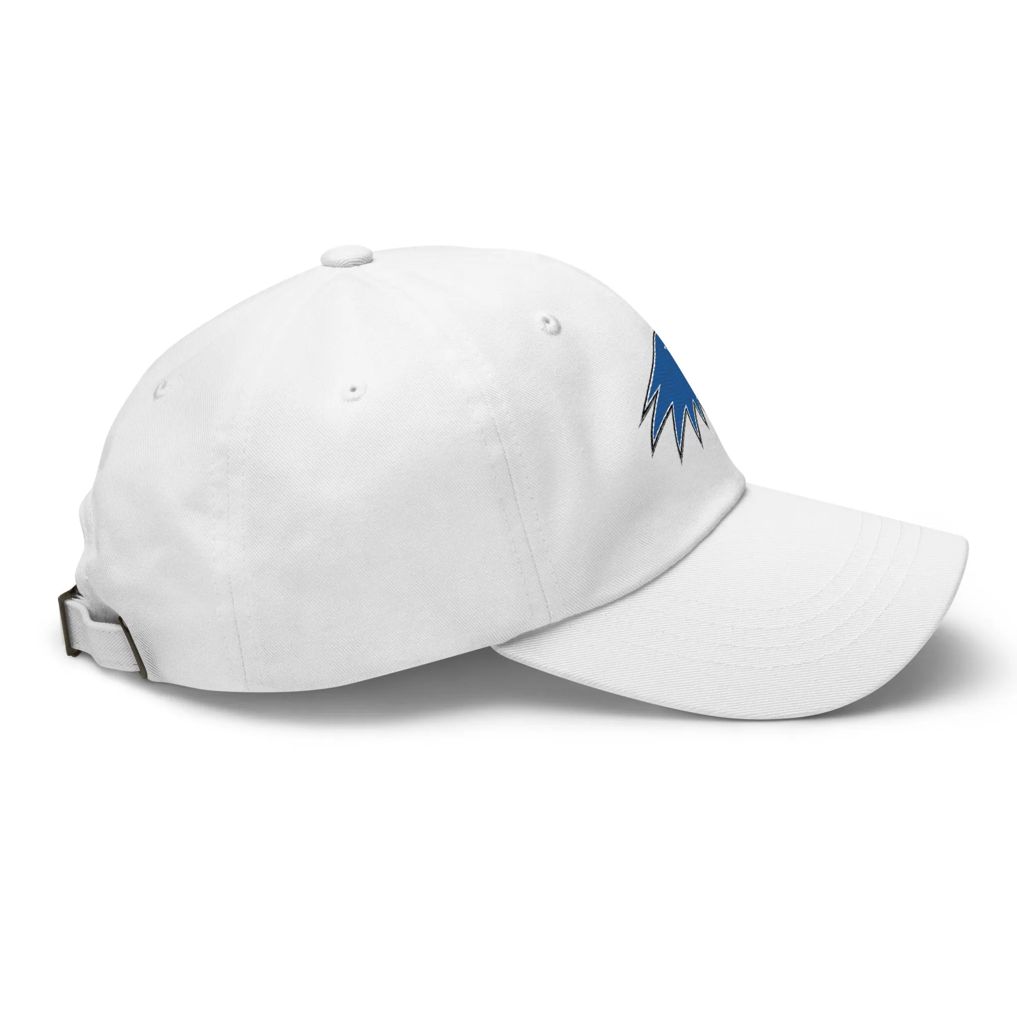 Hartwick Dad hat