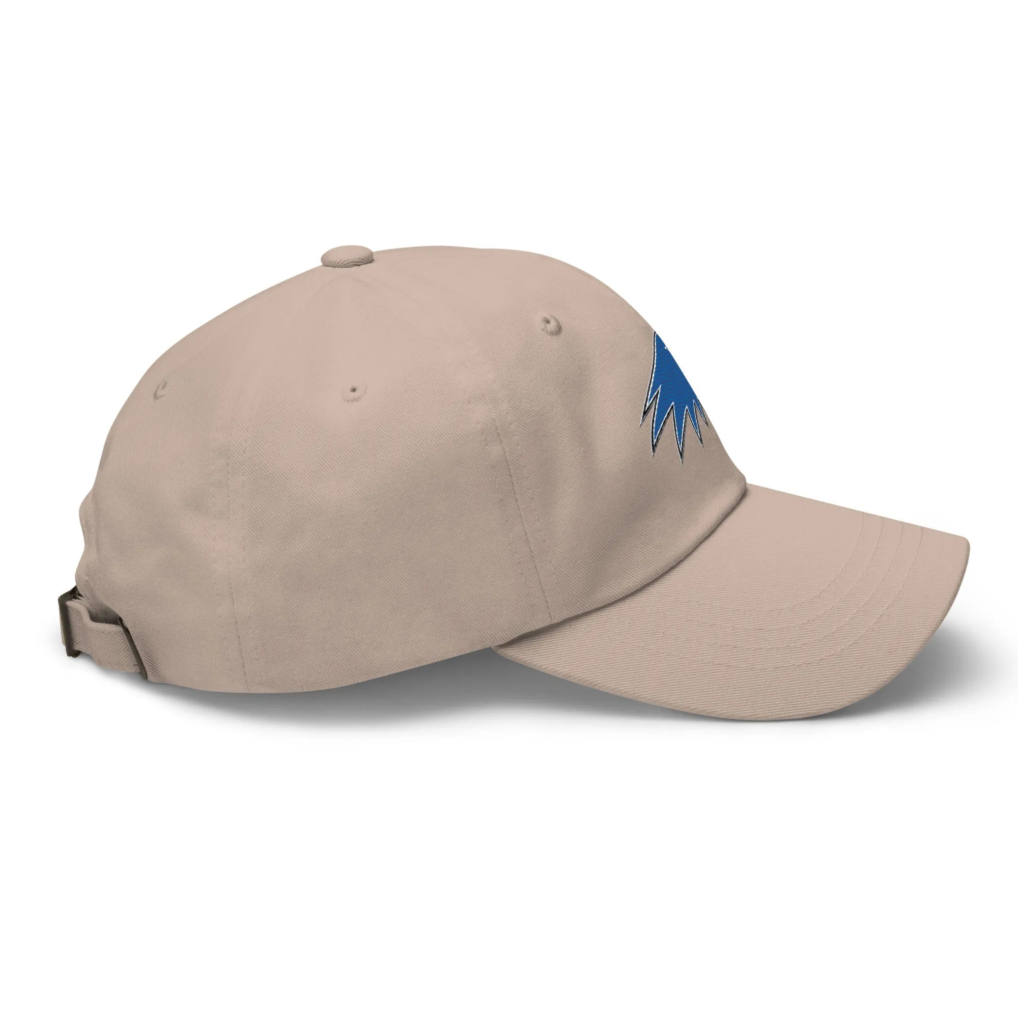 Hartwick Dad hat